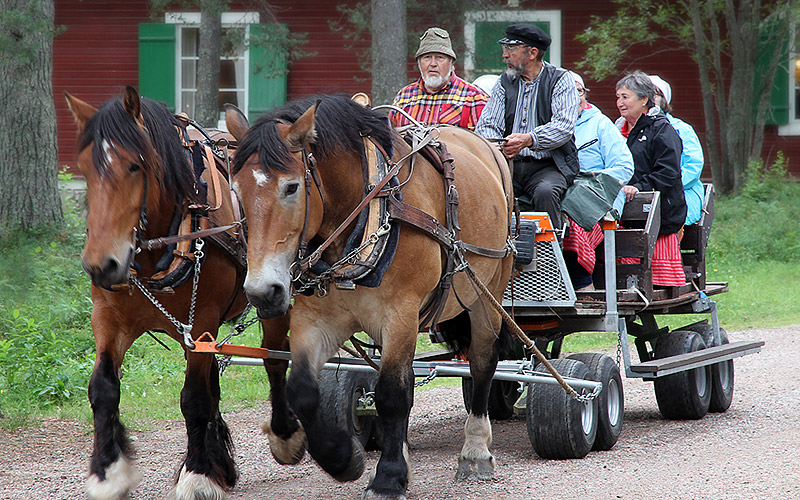 Summer trip along the culture trail