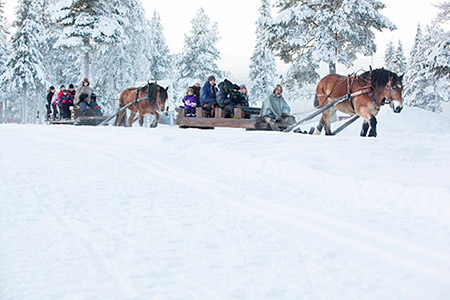 Magic of Lapland